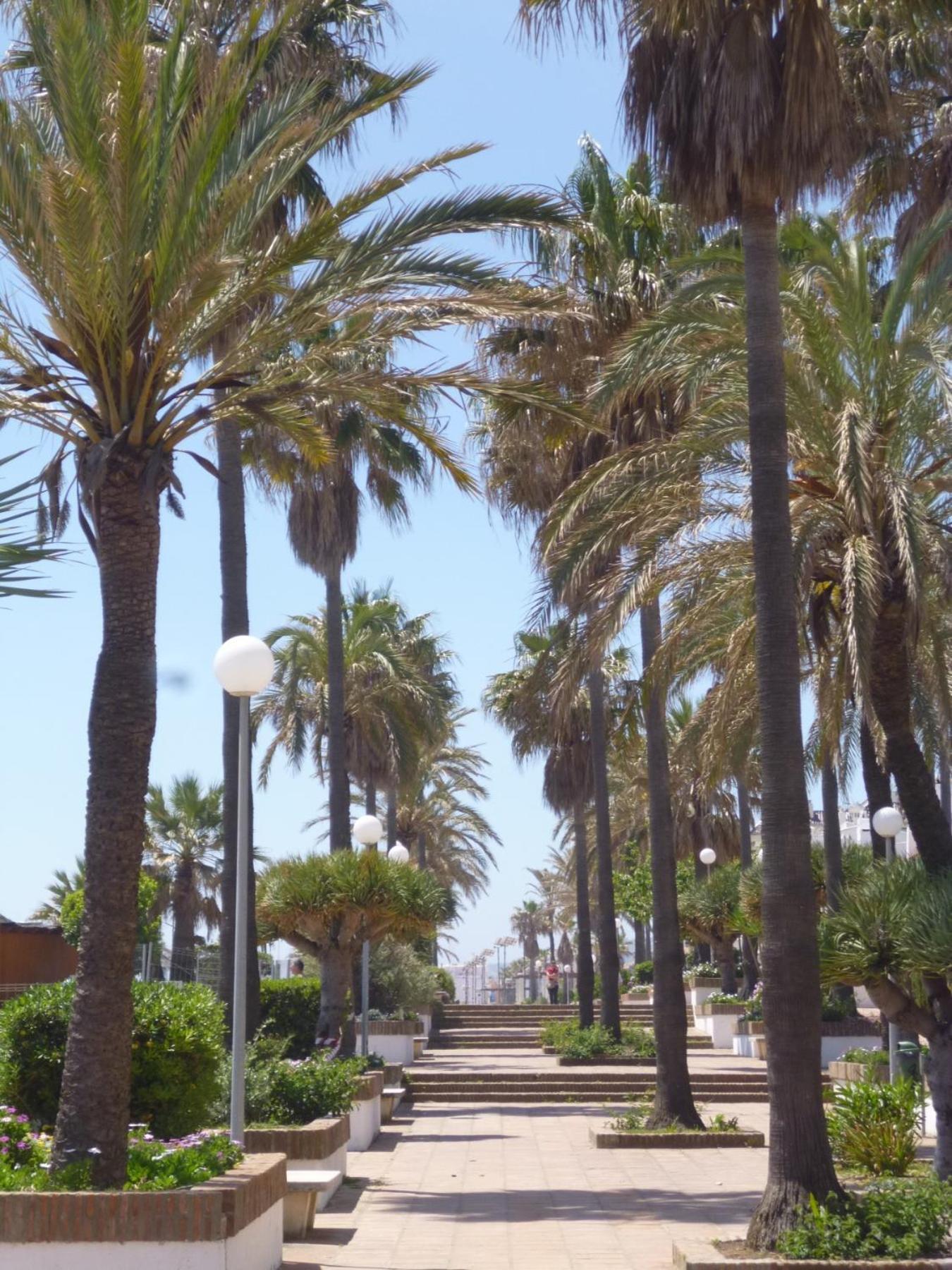 Marina Duquesa Apartemento 2110 مانيلفا المظهر الخارجي الصورة